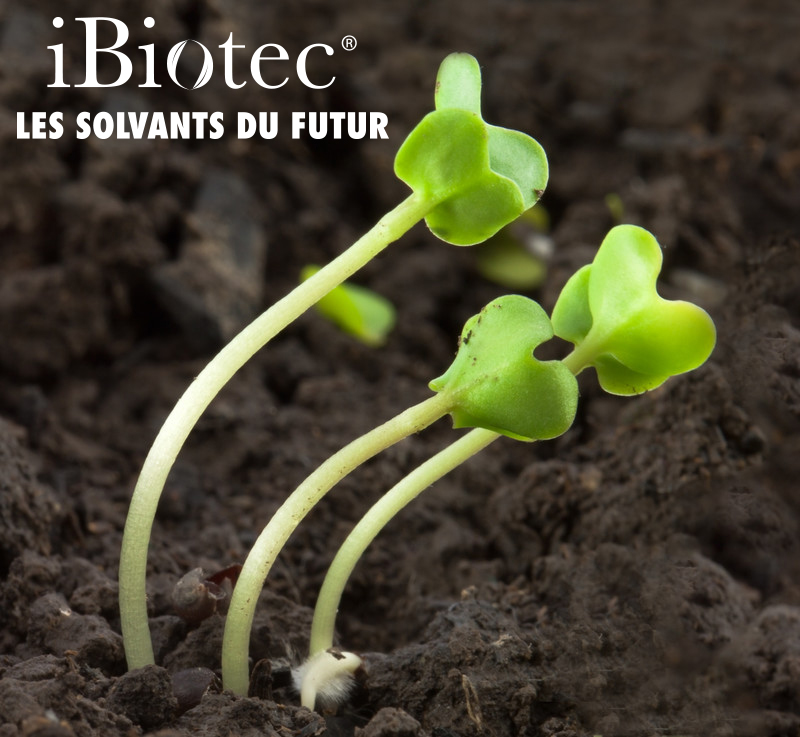 Comment  IBiotec traduit les principes de responsabilité sociétale, en ACTES CONCRETS.